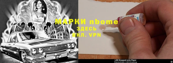 стаф Алексин