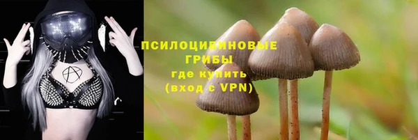 стаф Алексин