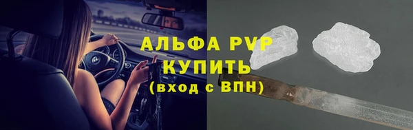 стаф Алексин