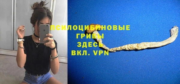 тгк Алексеевка