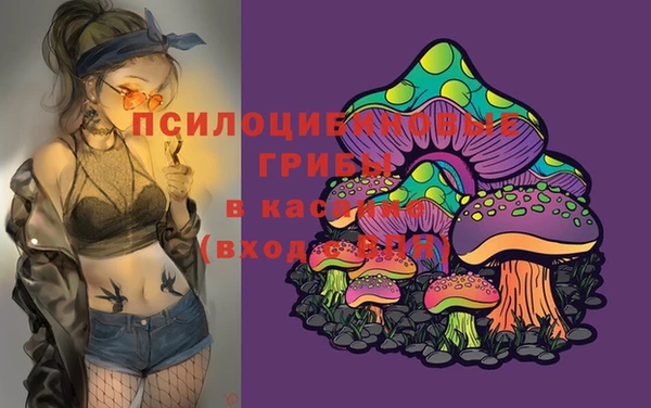 тгк Алексеевка