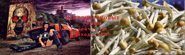 тгк Алексеевка