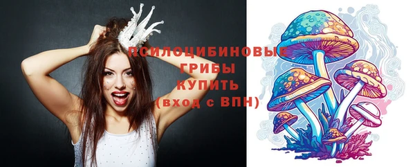 стаф Алексин