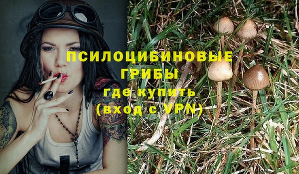 тгк Алексеевка