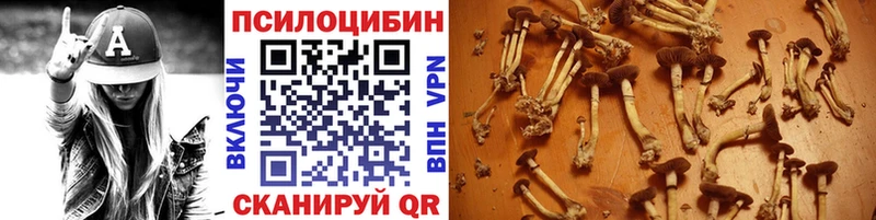 Галлюциногенные грибы ЛСД Москва